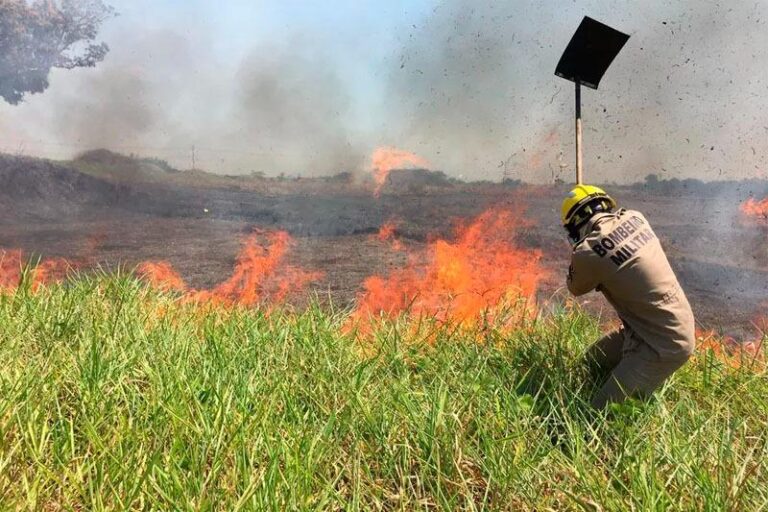 Calor e estiagem aumentam atenção para queimadas e preservação ambiental em Manaus.