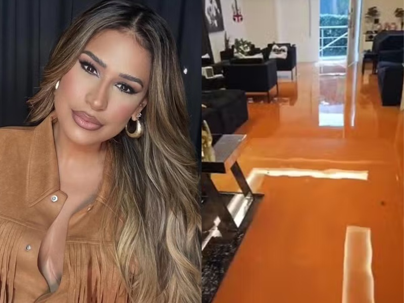 Simone Mendes é processada por vizinho após desabamento de muro em obra de mansão. Entenda!